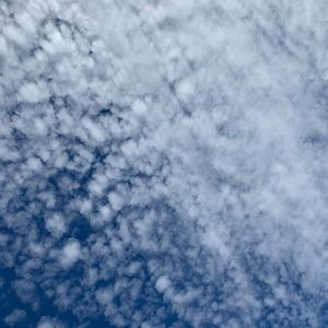 Meet your Posher, Jerilynn